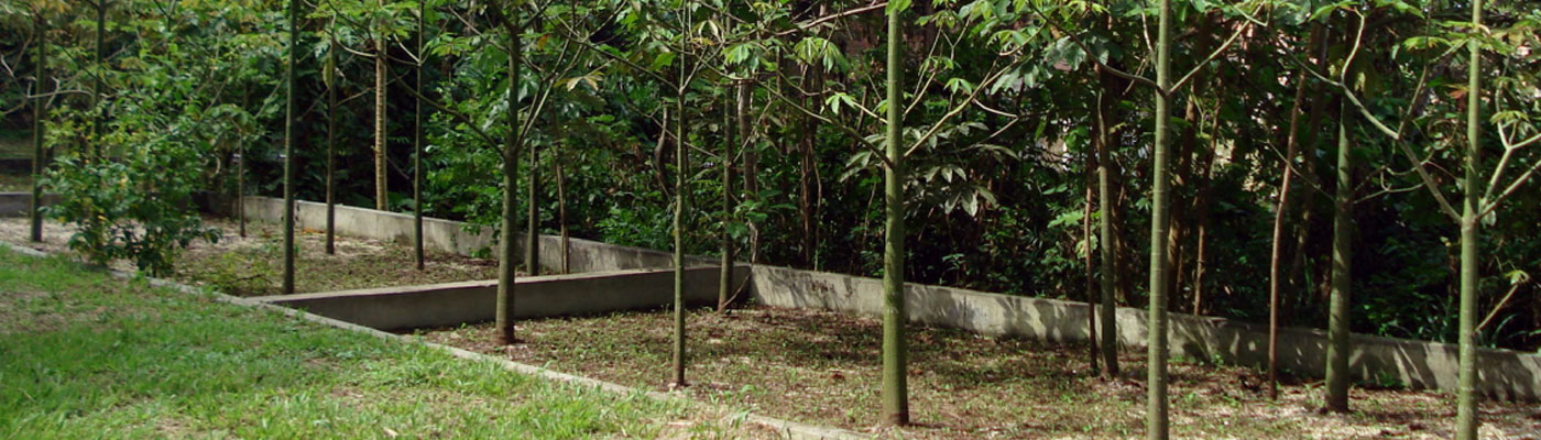 Separador de água e óleo e/ou gordura